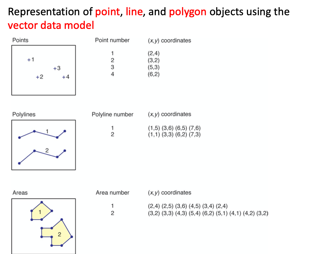 points lines polygons